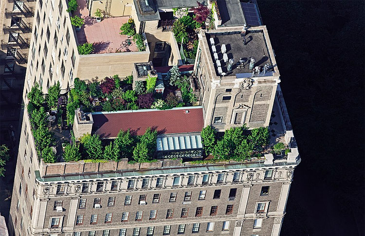 New York Secret Rooftop